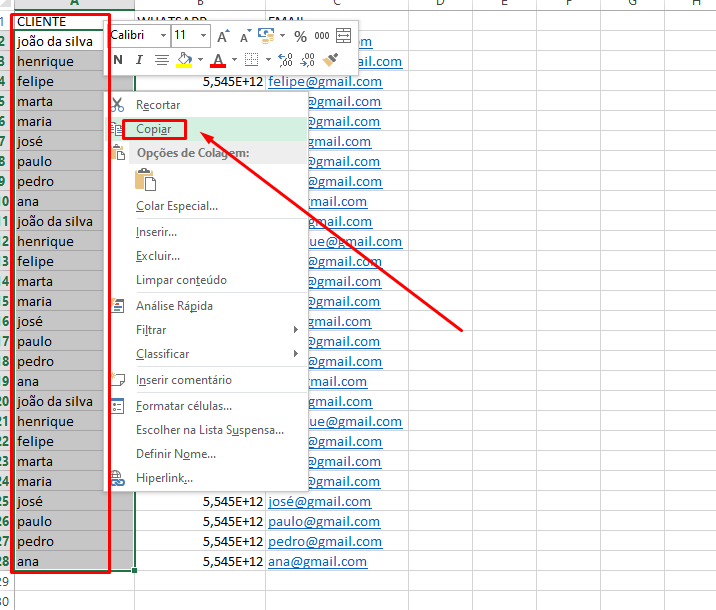 Leia mais sobre o artigo Como Cadastrar Todos os meus Contatos no WhatsApp Marketing PRO (Guia Completo)